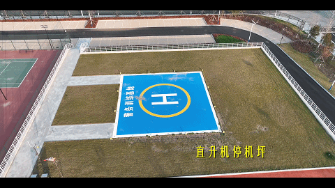 为什么篮球老将需要特殊的训练方法_2