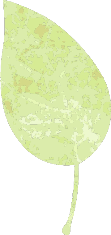 _2